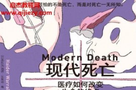 (巴斯)海德瓦萊奇著現代死亡醫療如何改變生命的終點電子書pdfmobiepub格式百度網盤下載學習