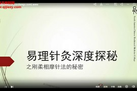 嚴超易理針灸之剛柔相摩針法高清教學視頻7集百度云網盤下載學習