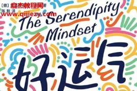 (美)克里斯蒂安布什著好運氣制造手冊從碰運氣到造運氣電子書pdfmobiepub格式百度網盤下載學習