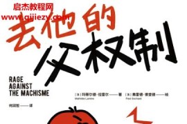 (法)瑪蒂爾德拉雷爾著去他的父權制電子書pdfmobiepub格式百度網盤下載學習