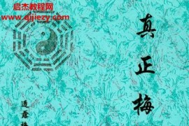 凈度易心李液真正梅花三卷全電子書pdf百度網(wǎng)盤下載學(xué)習(xí)