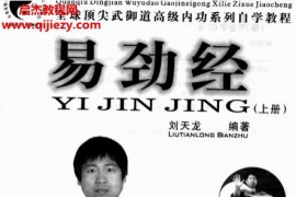 劉天龍著易筋經(jīng)上下冊電子書pdf百度網(wǎng)盤下載學(xué)習(xí)