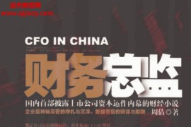 周倩著財務總監國內首部披露上市公司資本運作內幕的財經小說電子書pdf百度云網盤下載學習