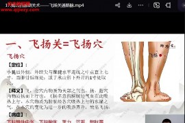 2023年揭眾平揭氏百脈朝關術第十八期視頻課程23集百度網盤下載學習