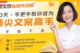 葉小魚文案實(shí)戰(zhàn)變現(xiàn)特訓(xùn)營30天手把手教你成為頂尖文案高手一字值千金視頻課程30集完結(jié)百度網(wǎng)盤下載學(xué)習(xí)