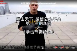 拳擊基礎練習技巧視頻課程7集百度云網盤下載學習