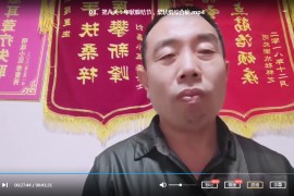 張新耀針灸實戰八天精品視頻課程13集張新耀歧軒針灸教程百度云網盤下載學習