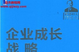 (日)稻盛和夫著企業成長戰略電子書pdfepub格式百度網盤下載學習