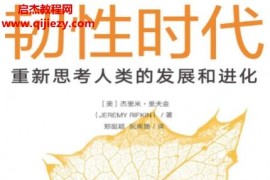 (美)杰里米里夫金著韌性時代電子書pdfmobiepub格式百度網盤下載學習