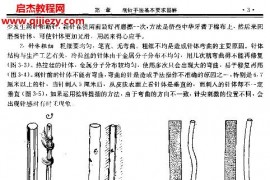 藺云桂電子書pdf2本藺云桂針法灸法圖解經(jīng)絡圖解百度網(wǎng)盤下載學習