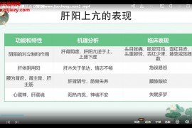 2023年王麗穎沈氏女科虛實辨證法視頻課程43集百度網盤下載學習