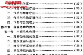 陸恒著自練氣功法電子書pdf百度網盤下載學習