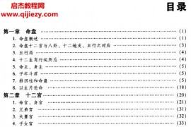周德元著命理天機(jī)紫微斗數(shù)規(guī)則的運(yùn)用與分析電子書pdf百度網(wǎng)盤下載學(xué)習(xí)