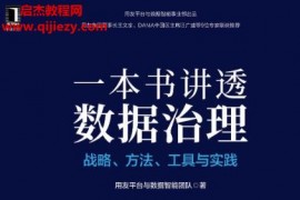 用友平臺(tái)與數(shù)據(jù)智能團(tuán)隊(duì)著一本書講透數(shù)據(jù)治理電子書pdfmobiepub格式百度網(wǎng)盤下載學(xué)習(xí)