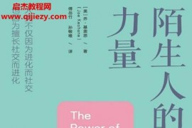 (美)喬基奧恩著陌生人的力量電子書pdfmobiepub格式百度網盤下載學習