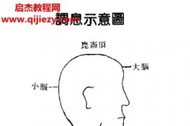 道玄子著中國道家養氣全書電子版pdf百度網盤下載學習