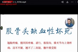 朱波股骨頭壞死精專課程視頻12集百度網(wǎng)盤下載學(xué)習(xí)