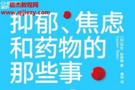 (加)勞倫斯萊特著抑郁焦慮和藥物的那些事電子書pdfmobiepub格式百度網(wǎng)盤下載學(xué)習(xí)