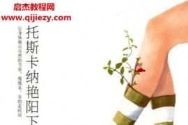 弗朗西絲梅斯著托斯卡納艷陽下電子書epubmpbiazw3格式百度網盤下載學習