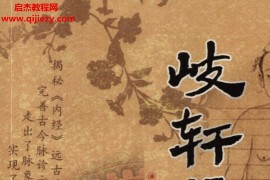 張潤杰甄秀彥朱雅卿著岐軒脈法電子書pdf百度云網盤下載學習
