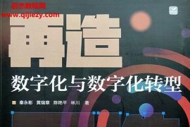 秦永彬著再造數(shù)字化與數(shù)字化轉(zhuǎn)型電子書(shū)pdfmobiepub格式百度網(wǎng)盤(pán)下載學(xué)習(xí)