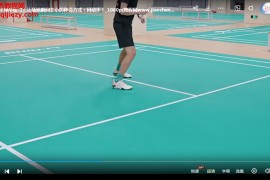 笑辰哥羽毛球五合一高效提升視頻課程30集百度網盤下載學習