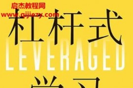 (加)丹尼伊尼著杠桿式學習電子書pdfmobiepub格式百度網盤下載學習