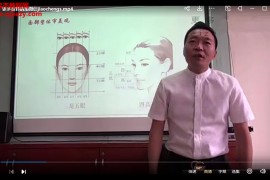 王守慶三維針雕面部美容實戰班視頻課程41集百度網盤下載學習