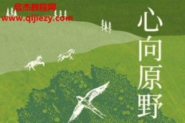 (英)理查德梅比著心向原野自然如何治愈了我電子書pdfmobiepub格式百度網盤下載學習