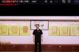 楊云中太極母拳功法精講系列視頻課程19集百度網盤下載學習