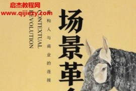 吳聲著場景革命電子書pdf百度網盤下載學習