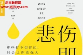 (美)辛迪芬奇著悲傷即成長電子書pdfmobiepub格式百度網盤下載學習