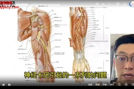 博西斯頓周圍神經卡壓引發的疼痛改善視頻課程25集百度網盤下載學習