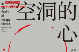 (加)加博爾馬泰著空洞的心成癮的真相與療愈電子書pdfmobiepub格式百度網盤下載學習