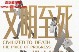 (美)克里斯托弗瑞安著文明至死進步的代價電子書pdfmobiepub格式百度網盤下載學習