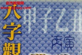 戴惠俐著八字觀象實例詳解電子書pdf百度網盤下載學習