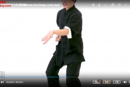 萬迎周非視覺太極八段錦音視頻文字資料百度網盤下載學習