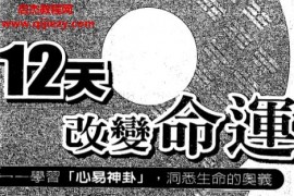 張清淵黃家瑜著12天改變命運電子書pdf百度網盤下載學習
