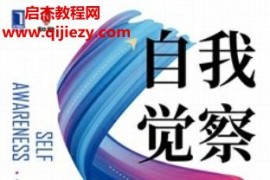 叢龍峰張偉俊合著自我覺察領導力提升的起點與終點電子書pdfmobiepub格式百度網盤下載學習