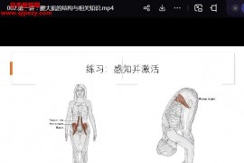 深度釋放身體卡點我的腰大肌視頻課程18集百度網盤下載學習