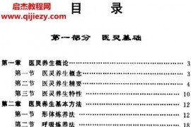 顧漢勇著醫靈養生學電子書pdf百度網盤下載學習