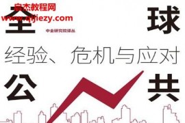 (美)巴里艾興格林著全球公共債務(wù)經(jīng)驗(yàn)危機(jī)與應(yīng)對(duì)電子書pdfmobiepub格式百度網(wǎng)盤下載學(xué)習(xí)